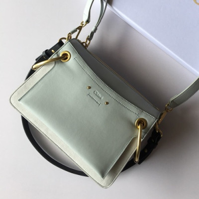 Chole 2019 Roy Leather Shoulder Bag, 25/32cm -  끌로에 2019 로이 레더 숄더백,CLB0009,25/32cm,민트