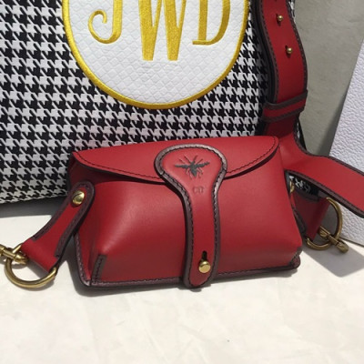 Dior 2019 Leather Shoulder Bag ,19CM - 디올 2019 레더 숄더백,DIOB0205,19CM,레드