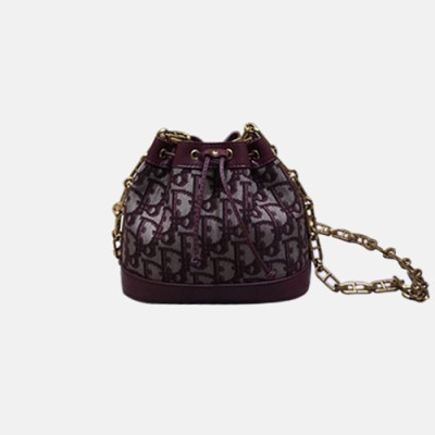 Dior 2019 Oblique Bucket Chain Shoulder Bag,18CM - 디올 2019 오블리크 여성용 버킷 체인 숄더백  DIOB0211,18CM,레드