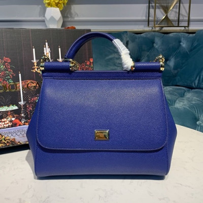 Dolce&Gabbana 2019 Leather Tote Shoulder Bag ,25CM - 돌체 앤 가바나 2019 레더 여성용 토트 숄더백 DGB0096,25cm,블루