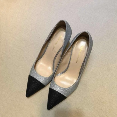 Gianvito Rossi 2019 Ladies Pumps High Heel - 지안비토 로시 2019 여성용 펌프스 하이힐,GRS0012.Size(220 - 250).실버