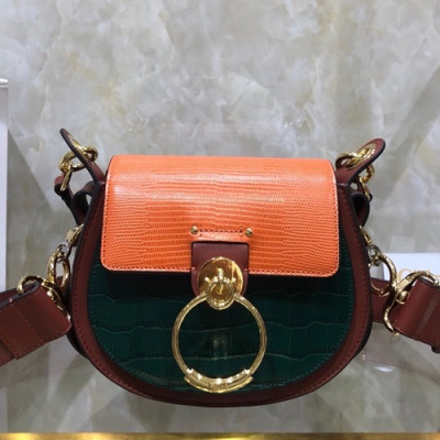 Chole 2019 Tess Leather Shoulder Bag, 20.5cm -  끌로에 2019 테스 레더 숄더백,CLB0144,20.5cm,그린+오렌지