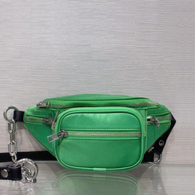 Alexander Wang 2019 Belt Bag,22cm - 알렉산더왕 2019 여성용 벨트백 AWB0018,22cm,그린