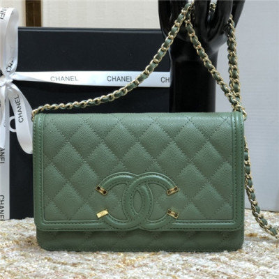 Chanel 2021 Women's Leather Chain Shoulder Bag,19.5cm,CHAB1653 - 샤넬 2021 여성용 레더 체인 숄더백,19.5cm,그린