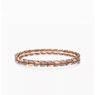 티파니 여성 골드 팔찌 - Tiffany Womens Gold Bangle- acc978x