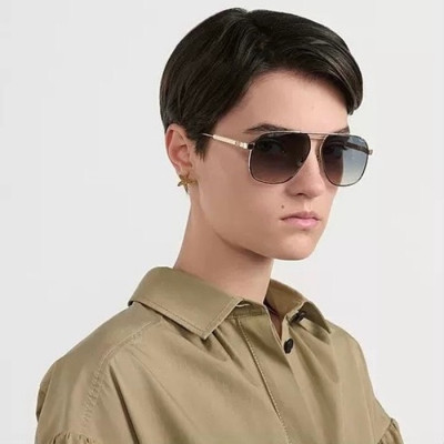 디올 여성 프리미엄 메탈 프레임 선글라스 - Dior Womens Premium Metal Frame Sunglasses - acc4164x