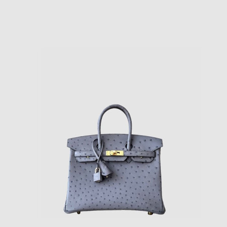 에르메스 여성 25 버킨백 - Hermes Womens Birkin Bag - heb11469x