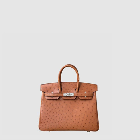 에르메스 여성 25 버킨백 - Hermes Womens Birkin Bag - heb11481x